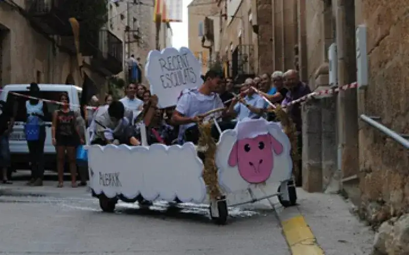 Festes i activitats