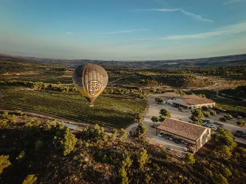 Celler i Molí Pons
